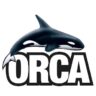 Orca Tauchreisen